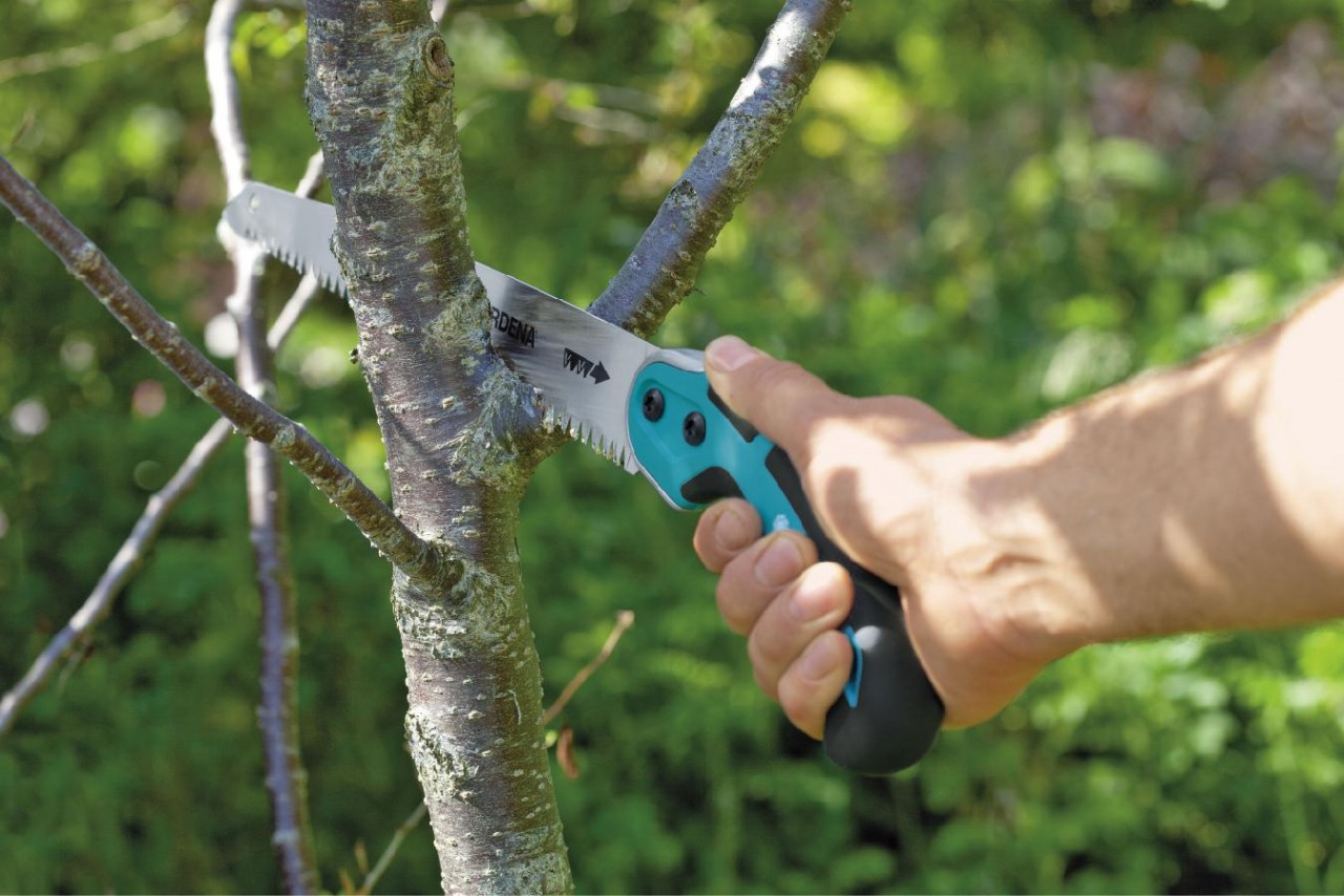 Обрезка растений