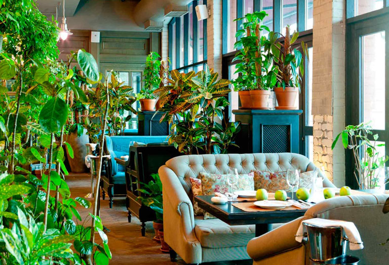 Озеленение кафе и ресторанов